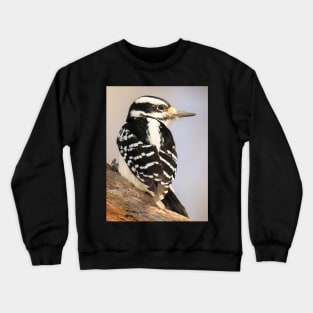 Hairy Woodpecker, bird, North American Bird, Songbird, Backyard Bird Crewneck Sweatshirt